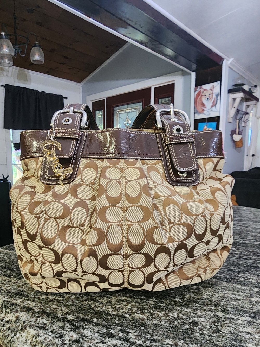 Coach Soho Signature Pleated Canvas Tote Bag